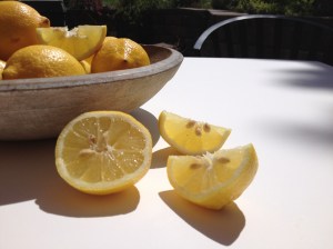 Reference photo for Lemons in Summer painting