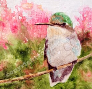 Hummingbirdcopyright