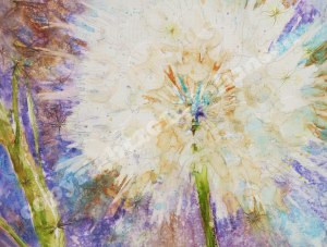 Finished. Moonlight Wishes. 11x14 Watercolor on Plexiglass