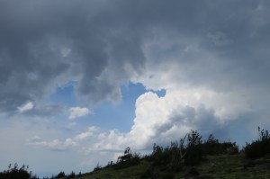 Here's the area I wanted to paint