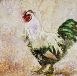 Bartholomew the Rooster copyright