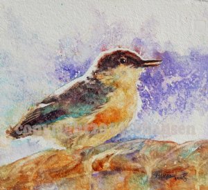 Splashy Bath copyright