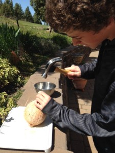 Cracking a coconut