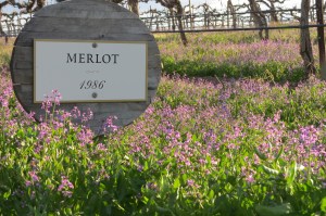 Cave B Winery Merlot sign