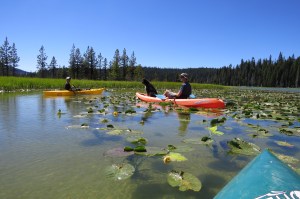 Kayaking with the boys and Sheba