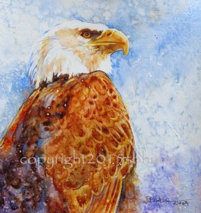 The Admiral, 8x8 original watercolor on gesso-textured watercolor paper with watercolor pencil, $50