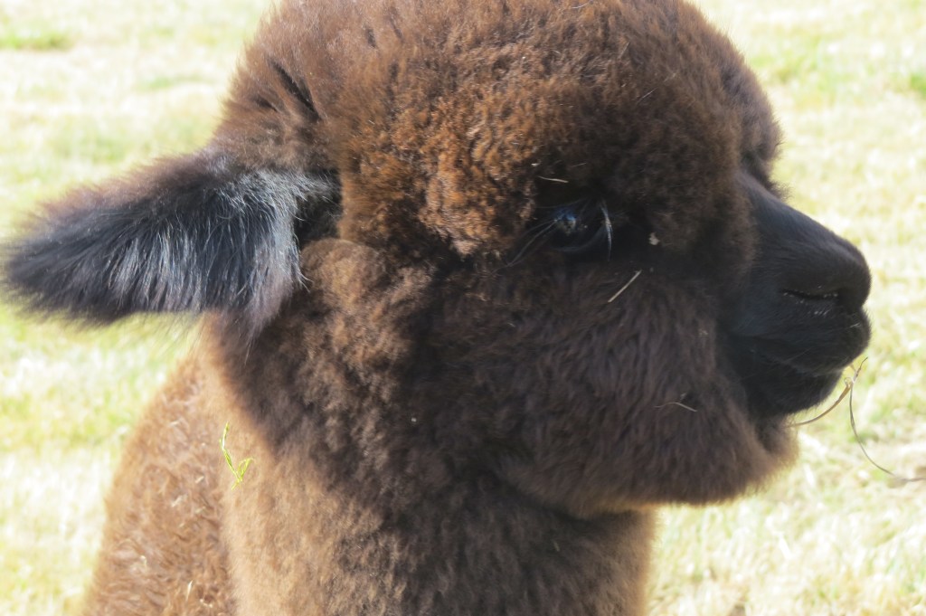 OMG. Cute factor off the charts!!