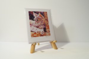 Greeting cards all come with an envelope and are protected inside a sealed, plastic bag