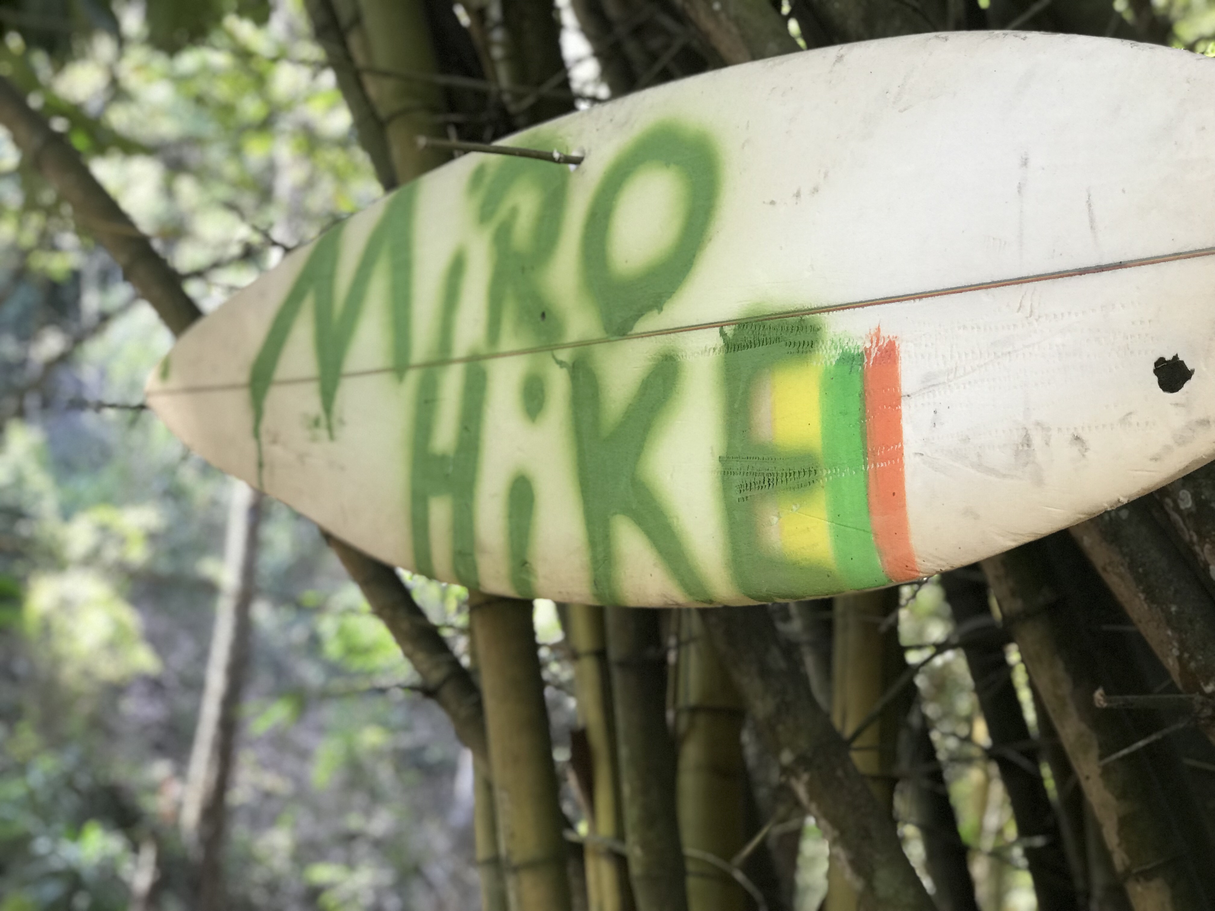 Paint Costa Rica Day 6 – sbhansen ART Blog